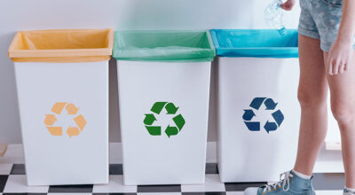 immagine dell'articolo